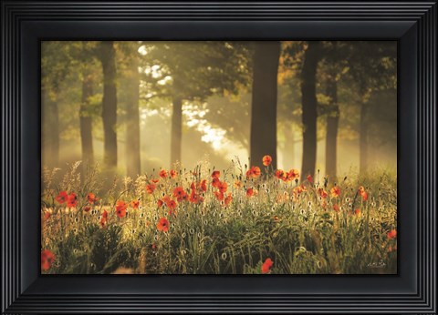 Framed Poppy Forest Print