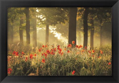 Framed Poppy Forest Print