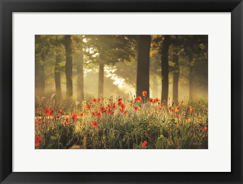 Framed Poppy Forest Print