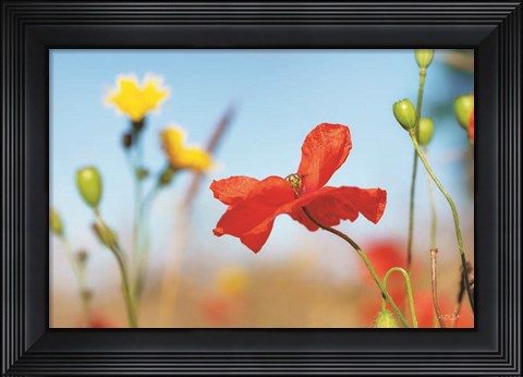Framed Summer Flowers Print