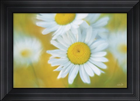 Framed Daisies Print