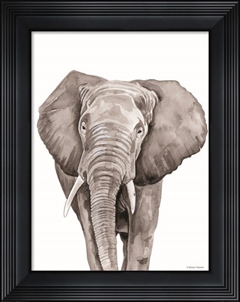 Framed Safari Elephant Peek-a-boo Print