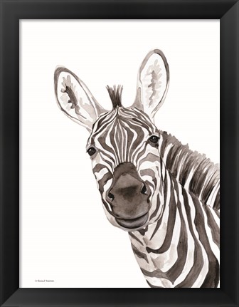 Framed Safari Zebra Peek-a-boo Print