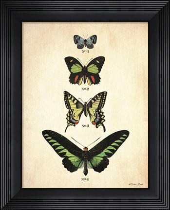 Framed Butterflies 1 Print