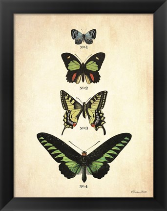 Framed Butterflies 1 Print