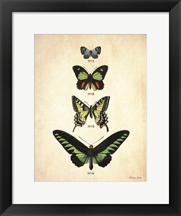 Framed Butterflies 1 Print