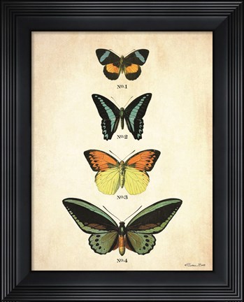 Framed Butterflies 2 Print