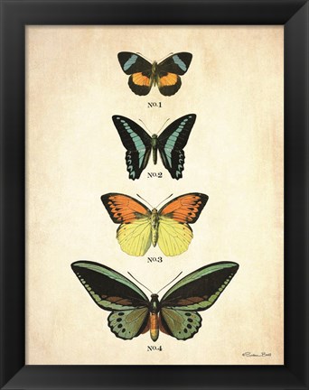 Framed Butterflies 2 Print