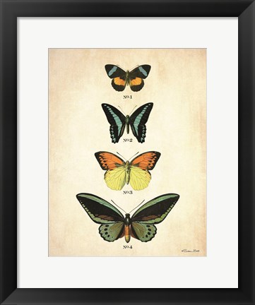 Framed Butterflies 2 Print