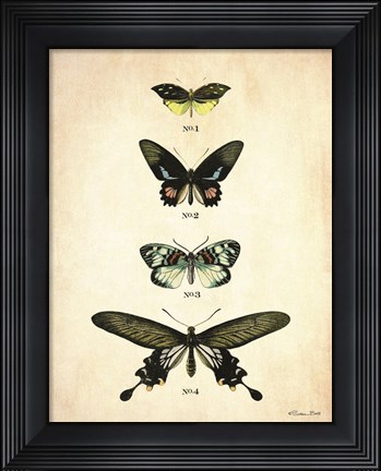Framed Butterflies 3 Print