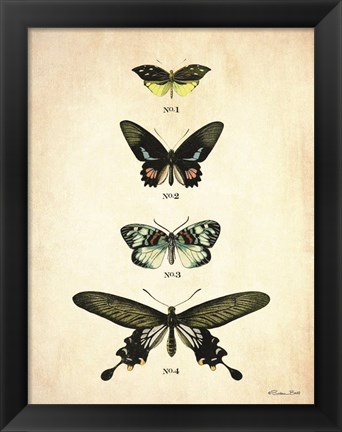 Framed Butterflies 3 Print