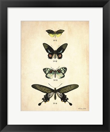 Framed Butterflies 3 Print