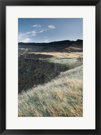 Framed Columbia River Gorge Print