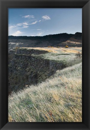 Framed Columbia River Gorge Print