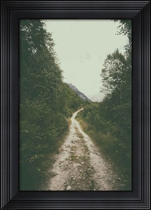 Framed Path We Followed Print