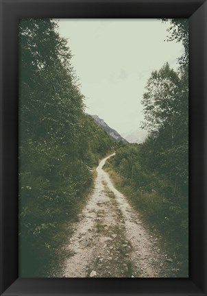 Framed Path We Followed Print