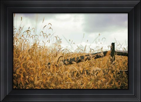 Framed Fencerow Print