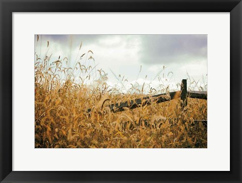 Framed Fencerow Print