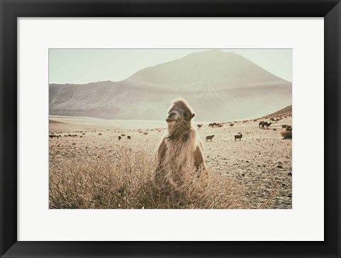 Framed Desert Camel Print