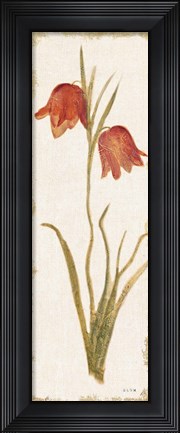 Framed Red Tulip Panel Light Print