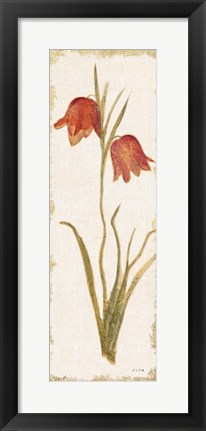 Framed Red Tulip Panel Light Print