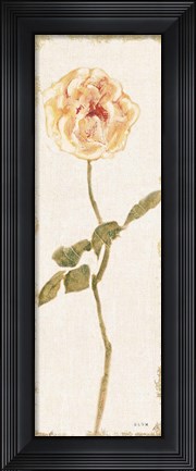Framed Pale Rose Panel Light Print