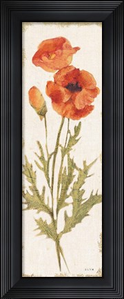 Framed Poppy Panel Light Print