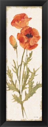 Framed Poppy Panel Light Print