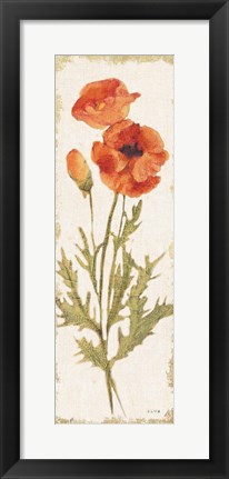 Framed Poppy Panel Light Print