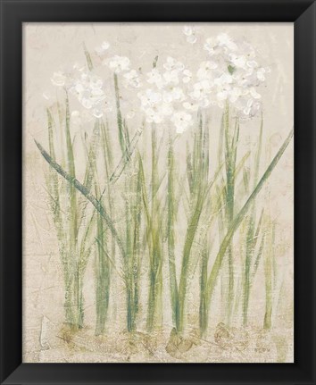 Framed Narcissus Light Print