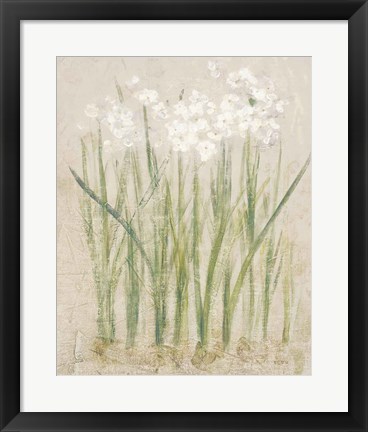 Framed Narcissus Light Print