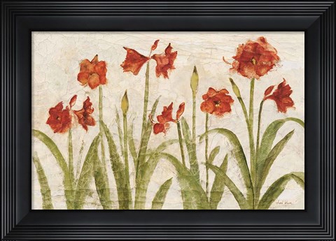 Framed Row of Red Amaryllis Light Print