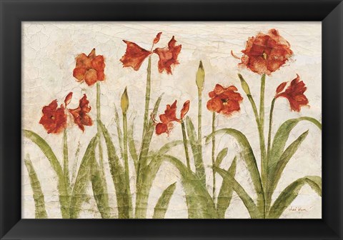 Framed Row of Red Amaryllis Light Print