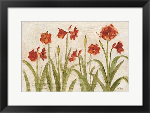 Framed Row of Red Amaryllis Light Print