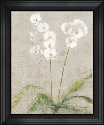 Framed Orchid Light Print