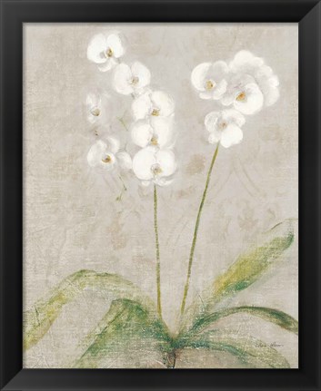 Framed Orchid Light Print