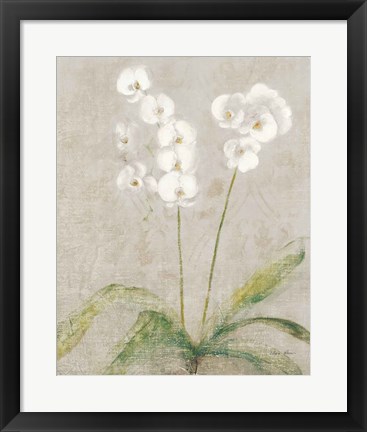 Framed Orchid Light Print