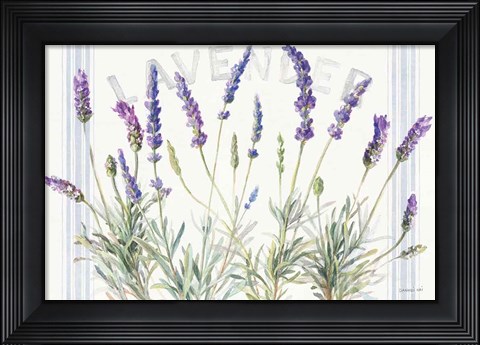 Framed Floursack Lavender V Print