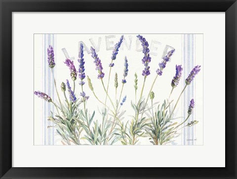 Framed Floursack Lavender V Print