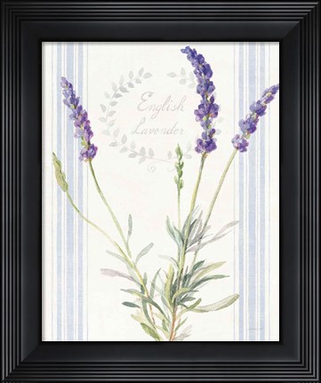Framed Floursack Lavender IV Print