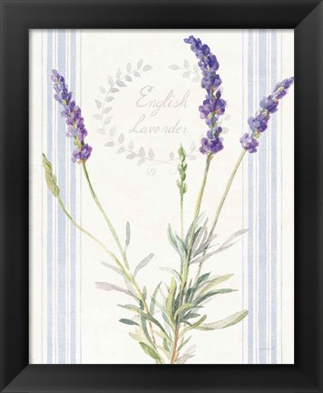 Framed Floursack Lavender IV Print