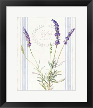 Framed Floursack Lavender IV Print