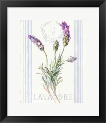 Framed Floursack Lavender II Print