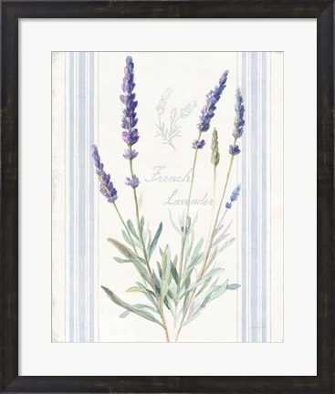 Framed Floursack Lavender I Print