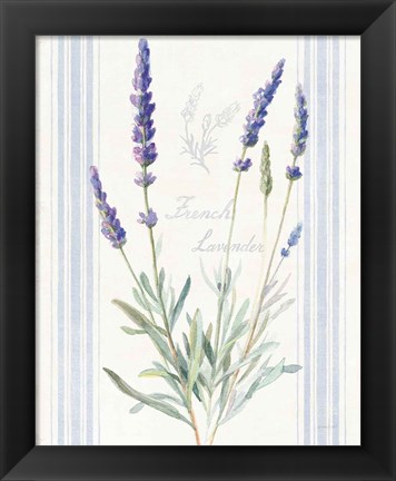 Framed Floursack Lavender I Print