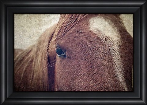 Framed Dew Lashes Print