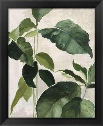 Framed Tropical Study II Print