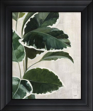 Framed Tropical Study I Print