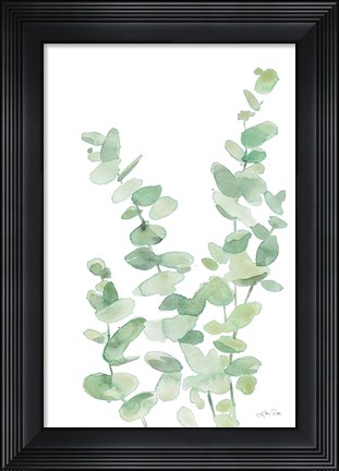 Framed Eucalyptus II Print