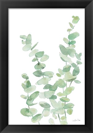 Framed Eucalyptus II Print